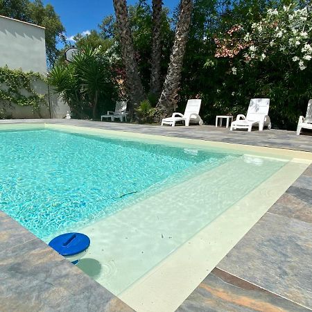 Le Mas Du Bijou Bleu Puget-sur-Argens Esterno foto