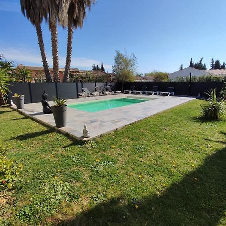Le Mas Du Bijou Bleu Puget-sur-Argens Esterno foto