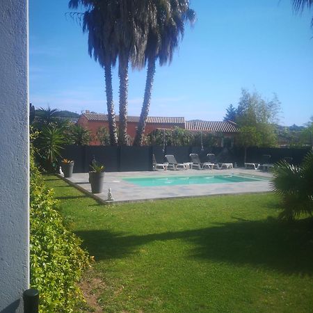 Le Mas Du Bijou Bleu Puget-sur-Argens Esterno foto