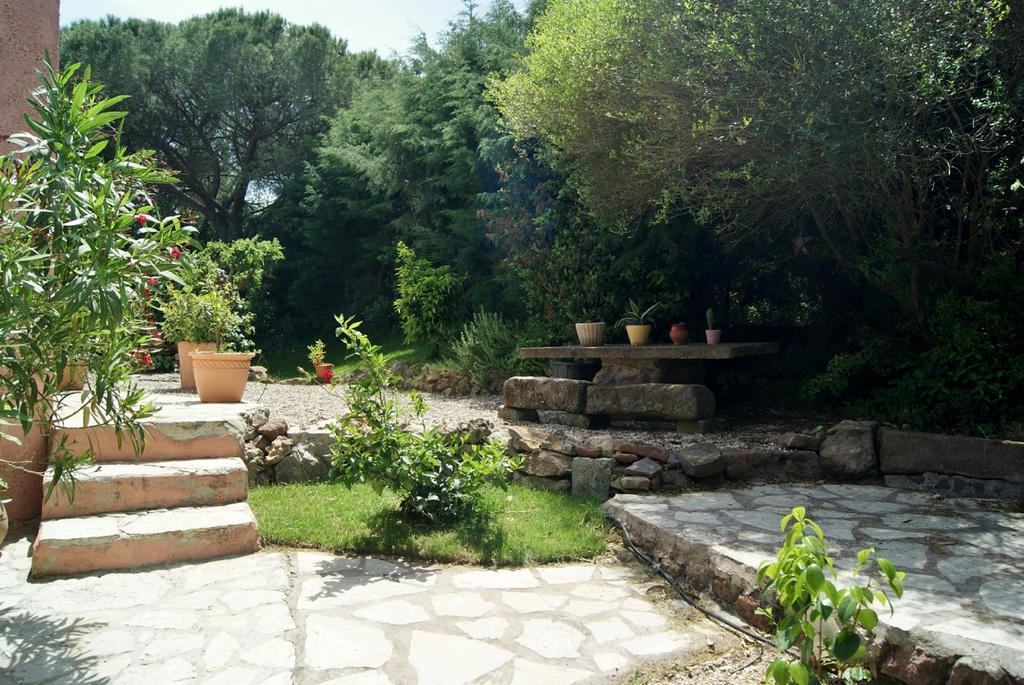 Le Mas Du Bijou Bleu Puget-sur-Argens Esterno foto