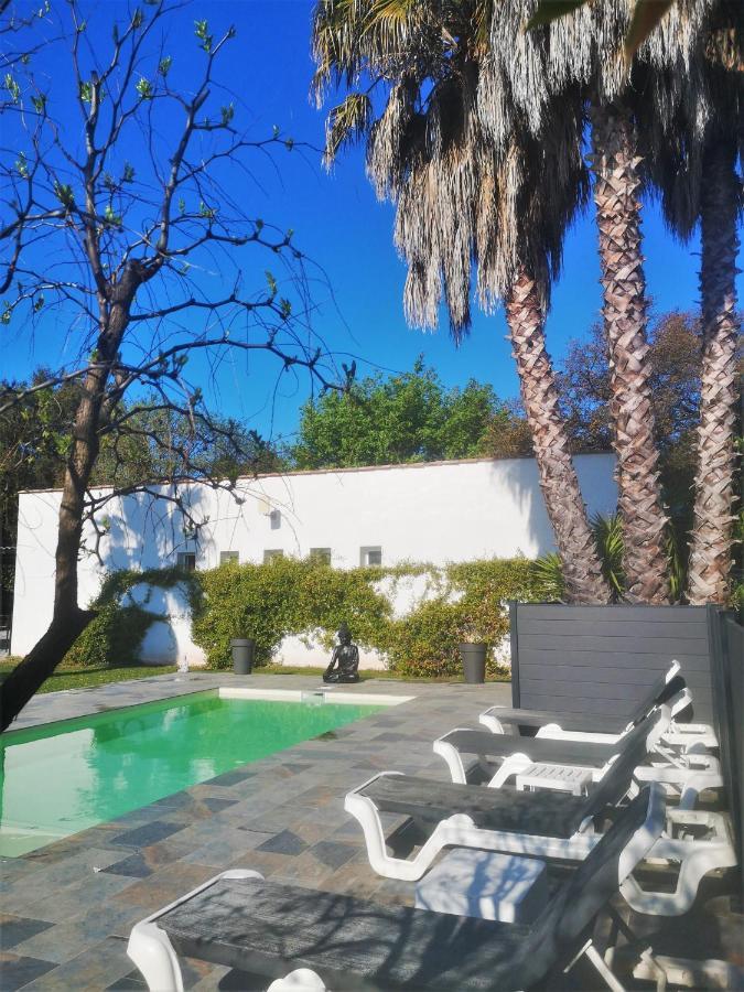 Le Mas Du Bijou Bleu Puget-sur-Argens Esterno foto