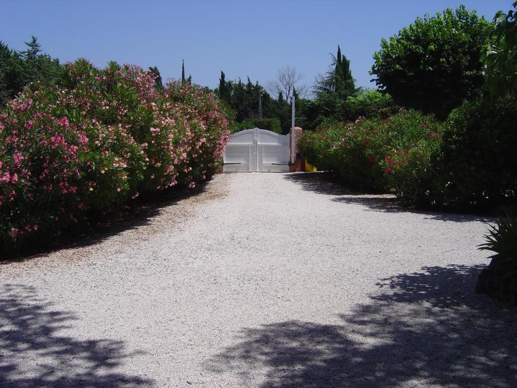 Le Mas Du Bijou Bleu Puget-sur-Argens Camera foto